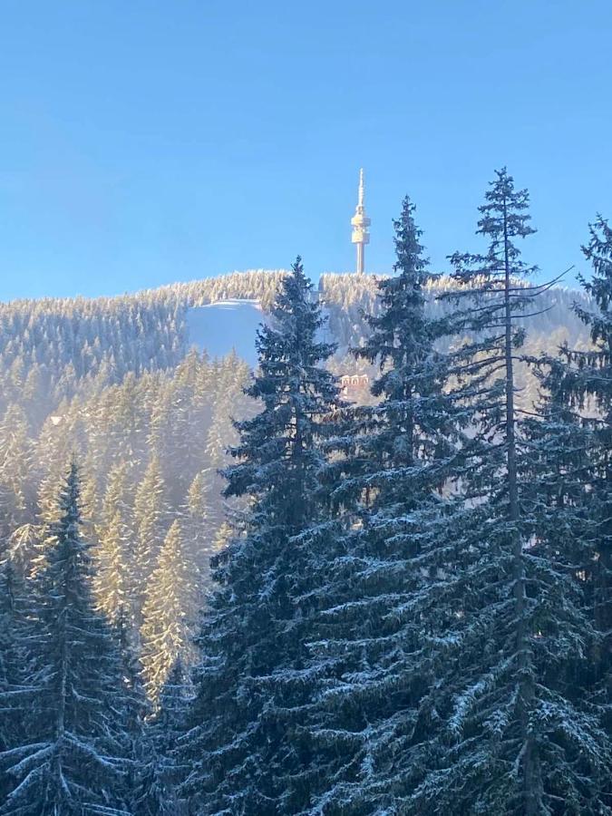 Nevada Aparthotel Pamporovo Bagian luar foto